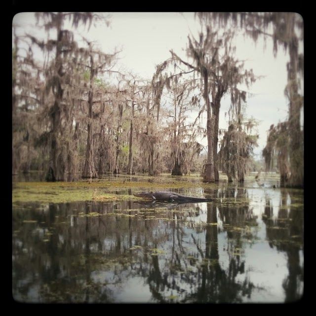 Bayou Teche Experience
